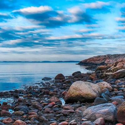 许家印说到做到! 恒大为暴力鸟替身开出队史最高年薪