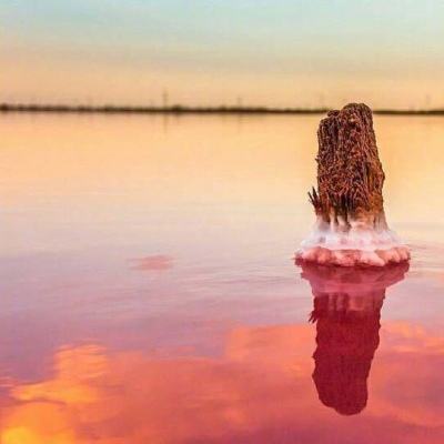 日本开始释放国家石油储备。(共同社)