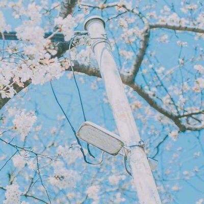 普京出手严控资本外流：5月起限制金条出口