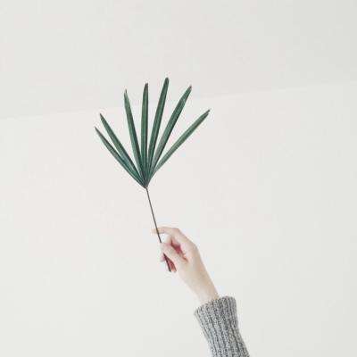 广东粤海饲料集团股份有限公司关于控股股东部分股份解除质押的公告